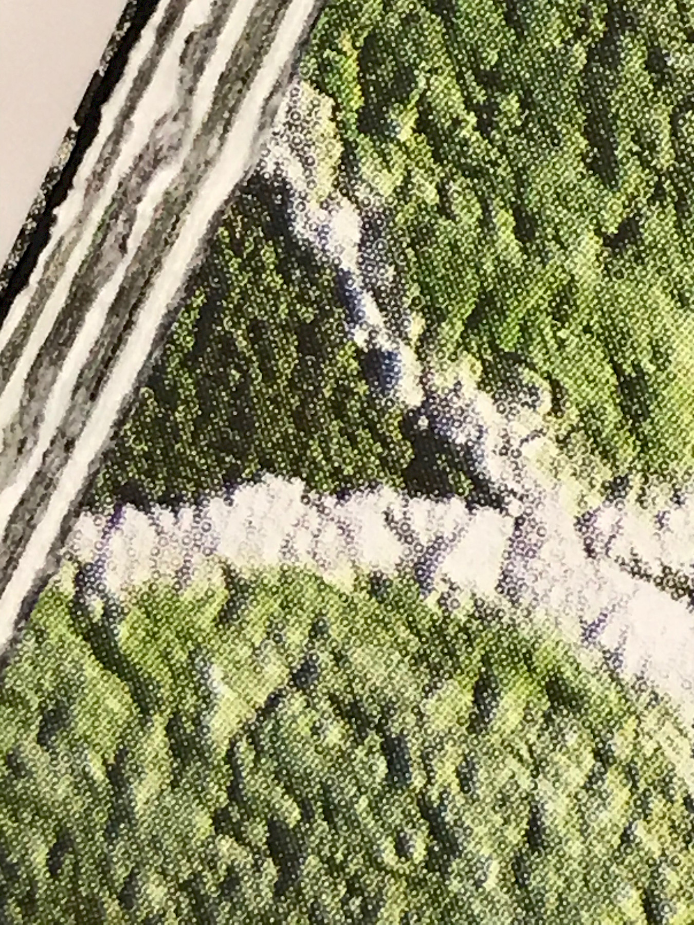 454