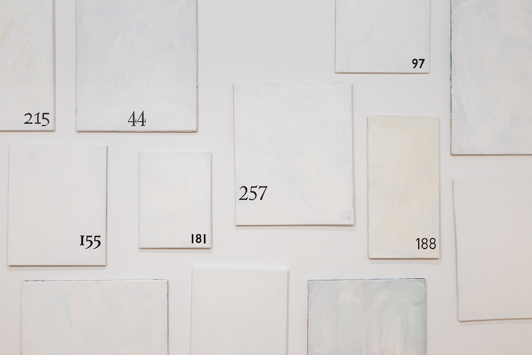 43